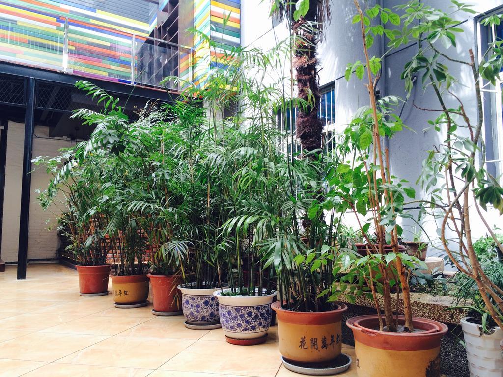 Xi'An Rainbow Youth Hotel Εξωτερικό φωτογραφία